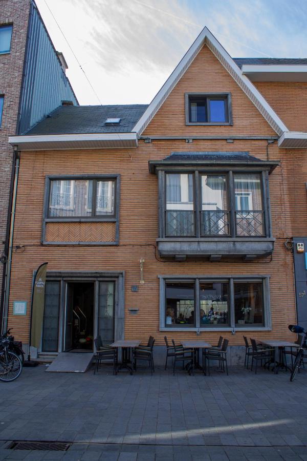Apartament Logies De Blauwe Regen Beveren  Zewnętrze zdjęcie
